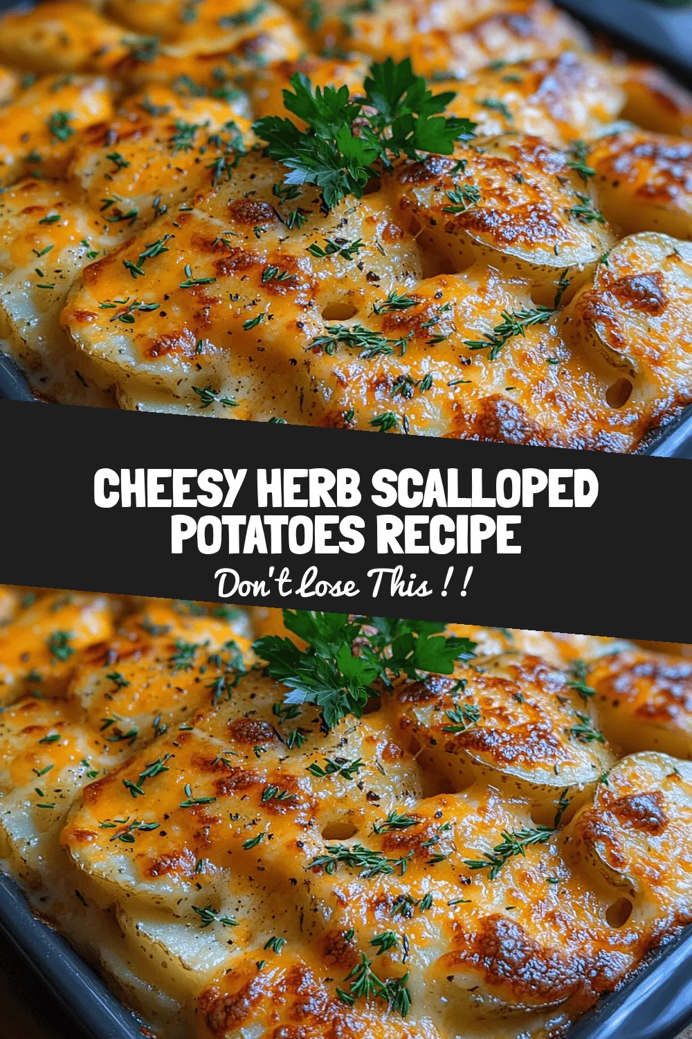 Cheesy Herb Scalloped Potatoes Recipe