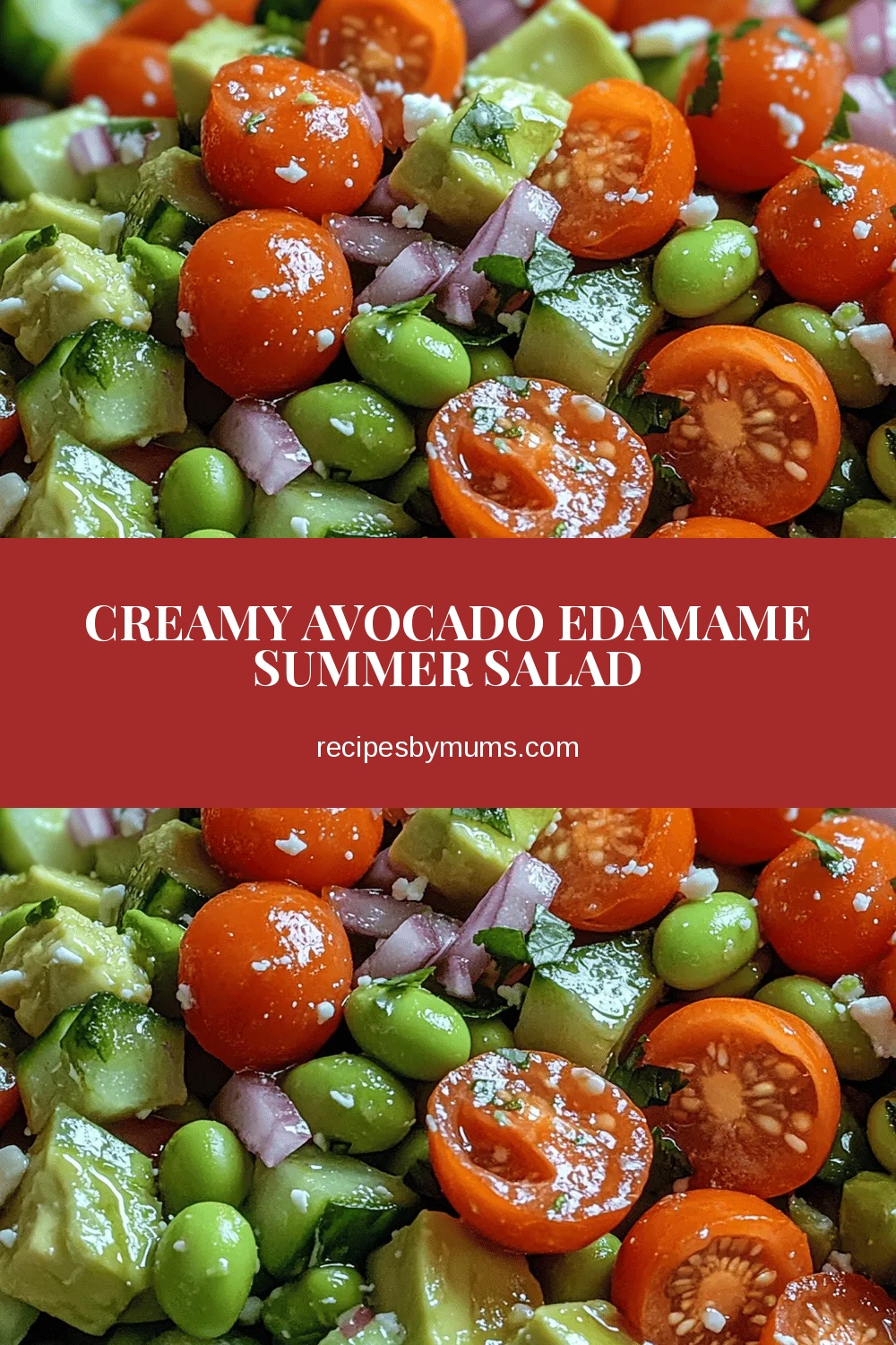 Creamy Avocado Edamame Summer Salad