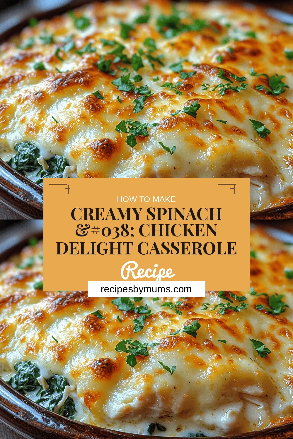 Creamy Spinach & Chicken Delight Casserole Recipe