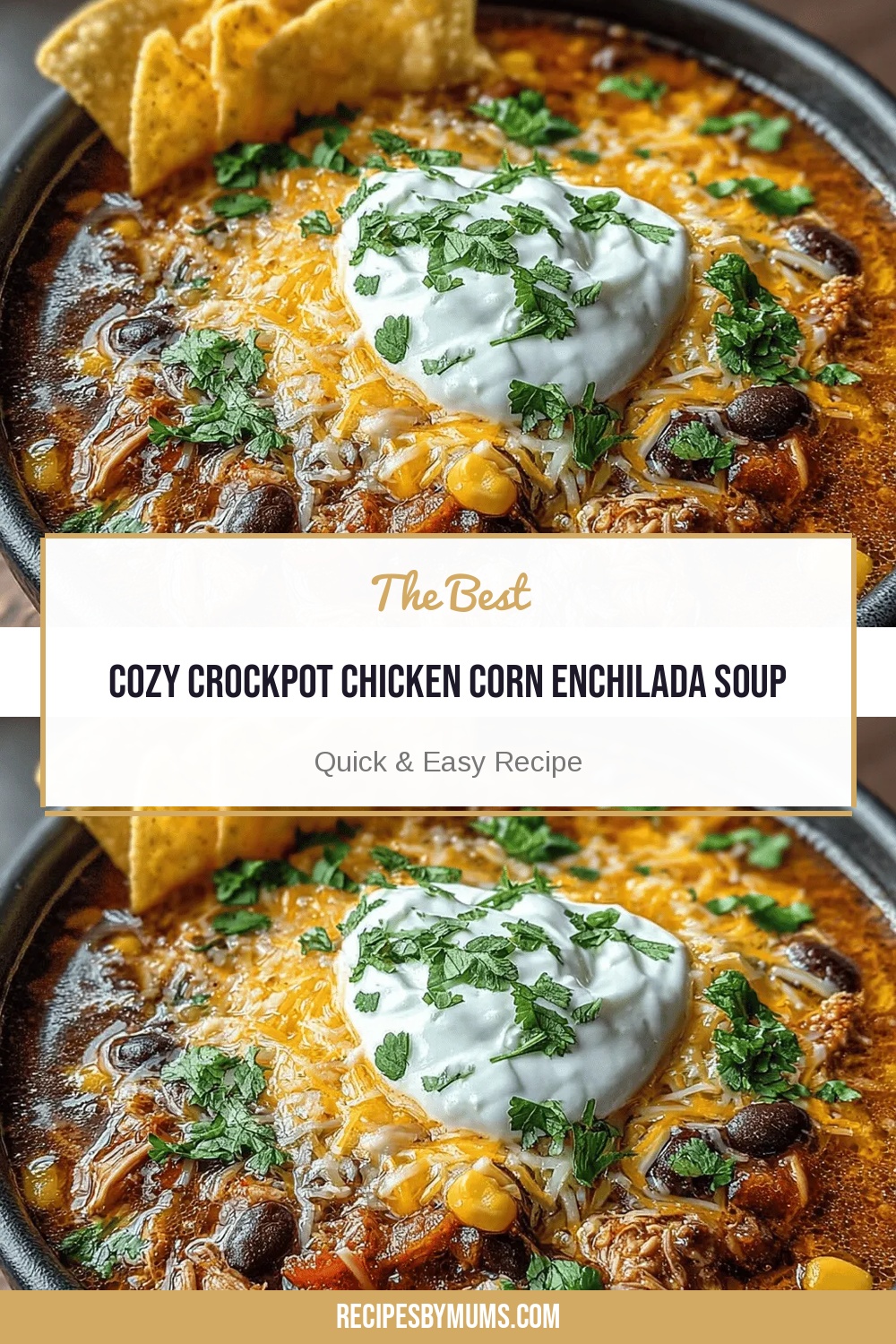 Cozy Crockpot Chicken Corn Enchilada Soup